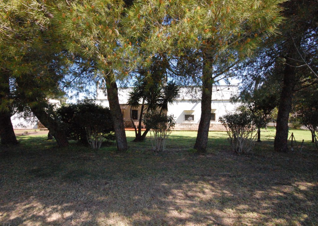 Masseria in vendita  400 m² ottime condizioni, San Donato di Lecce, località Campagna