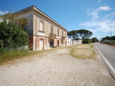 Salento, Italy - Detached country house with private land.
