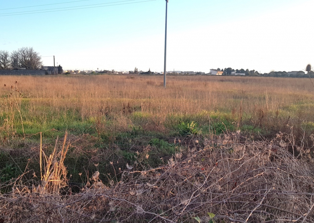 Land for sale  100000 sqm, Carmiano, locality Countryside