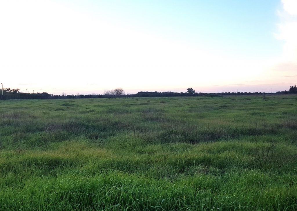 Terreno agricolo in vendita  100000 m², Carmiano, località Campagna