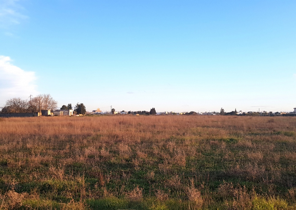 Terreno agricolo in vendita  100000 m², Carmiano, località Campagna