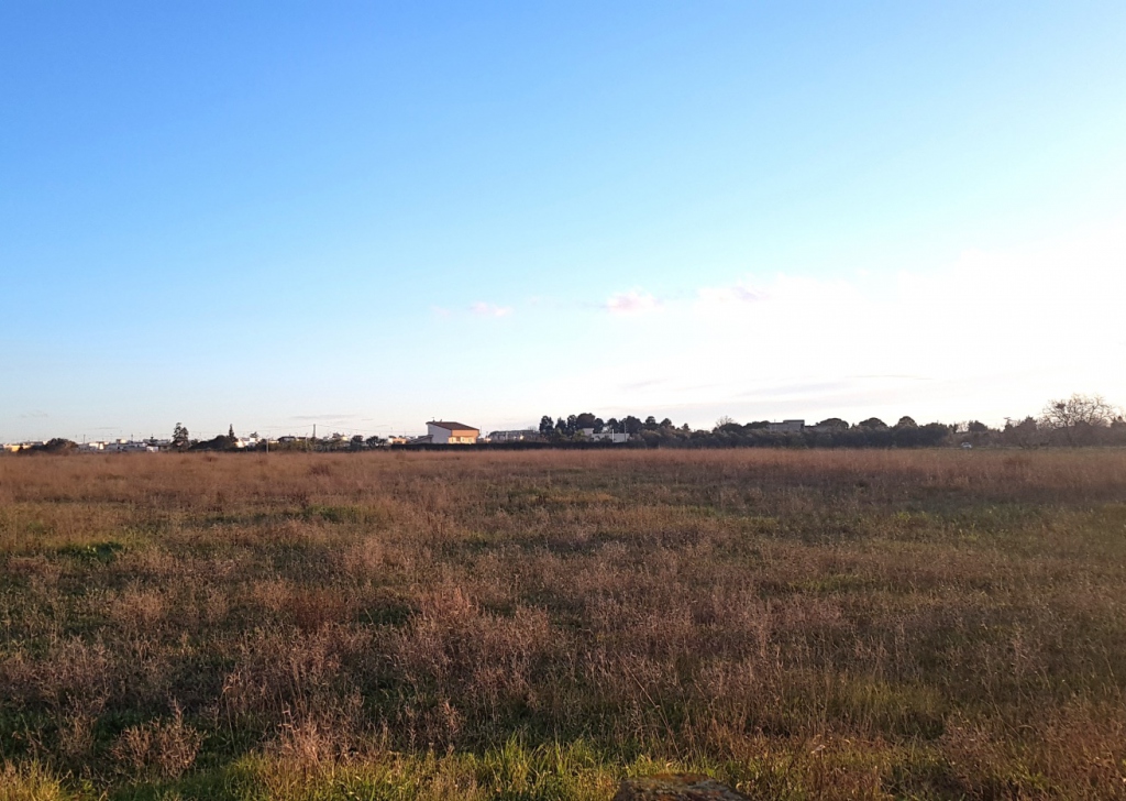 Land for sale  100000 sqm, Carmiano, locality Countryside